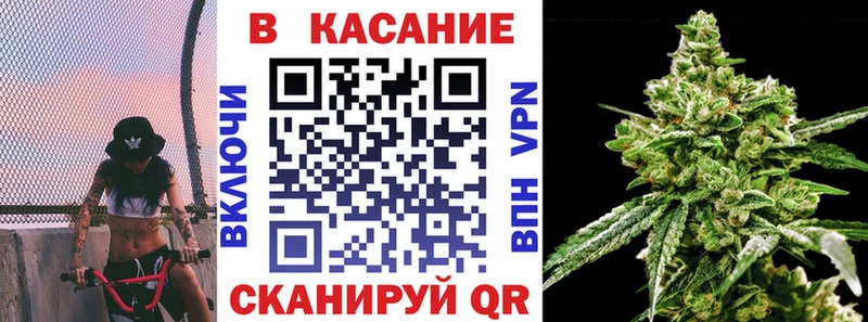 Магазины продажи наркотиков Аргун omg зеркало  Псилоцибиновые грибы  Гашиш  Cocaine  A PVP  Каннабис 