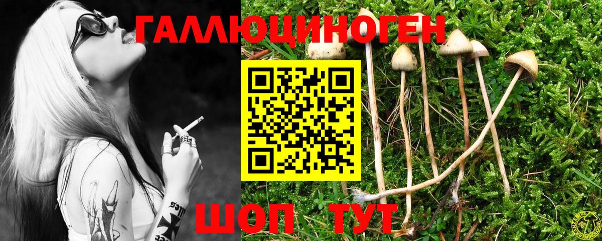 Галлюциногенные грибы Psilocybine cubensis  Псилоцибиновые грибы Magic Shrooms  Вход с VPN  Аргун 